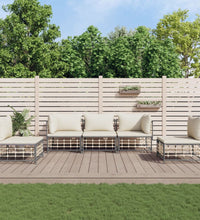 5-tlg. Garten-Lounge-Set mit Kissen Anthrazit Poly Rattan