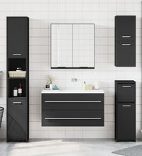Spiegelschrank Schwarz 64x20x67 cm Holzwerkstoff