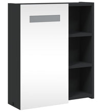 Spiegelschrank mit LED-Beleuchtung Schwarz 45x13x52 cm