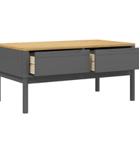 Couchtisch FLORO Grau 99x55,5x45 cm Massivholz Kiefer