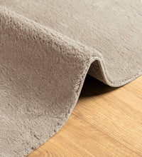Teppich HUARTE Kurzflor Weich und Waschbar Sandfarben 60x110 cm