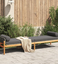 Gartenbank mit Kissen Grau Poly Rattan Akazie