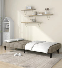 Schlafsofa 2-Sitzer Hellgrau Samt