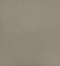 Schlafsofa 2-Sitzer Hellgrau Samt