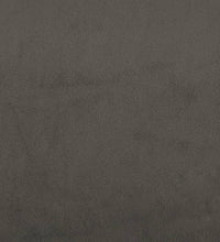 Schlafsofa 2-Sitzer Dunkelgrau Samt