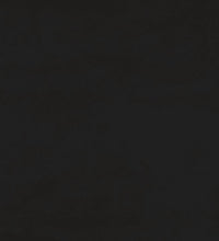 Schlafsofa 2-Sitzer mit 2 Kissen Schwarz Samt