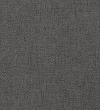 Schlafsofa 2-Sitzer mit 2 Kissen Dunkelgrau Stoff