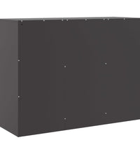 Sideboard Schwarz 99x39x73 cm Stahl