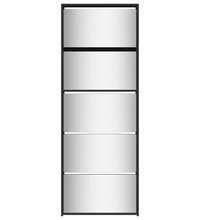 Schuhschrank mit Spiegel 5 Fächer Schwarz 63x17x169,5 cm