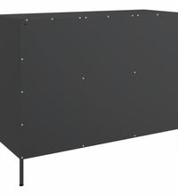 Sideboard Schwarz 100,5x39x79 cm Stahl