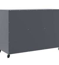 Sideboard Anthrazit 100,5x39x72 cm Kaltgewalzter Stahl