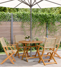 5-tlg. Garten-Essgruppe Beige Poly Rattan und Massivholz