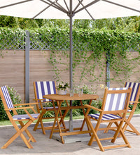 5-tlg. Garten-Essgruppe Stoff und Massivholz Blau und Weiß