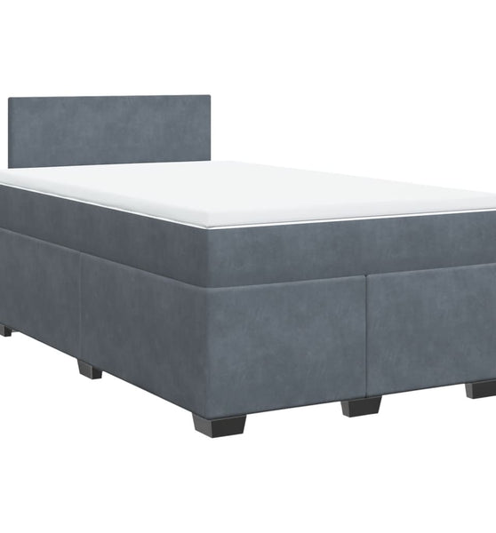 Boxspringbett mit Matratze Dunkelgrau 120x190 cm Samt