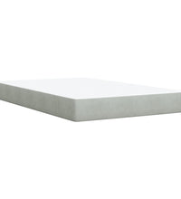 Boxspringbett mit Matratze Hellgrau 120x190 cm Samt