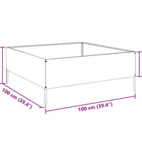 Hochbeet Schwarz 100x100x25 cm Stahl