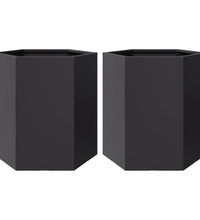 Garten-Pflanzgefäße 2 Stück Schwarz Sechseckig 46x40x45 Stahl