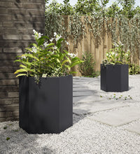 Garten-Pflanzgefäße 2 Stück Schwarz Sechseckig 46x40x45 Stahl