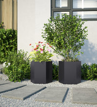 Garten-Pflanzgefäße 2 Stück Schwarz Sechseckig 46x40x45 Stahl