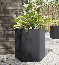 Garten-Pflanzgefäße 2 Stück Schwarz Sechseckig 46x40x45 Stahl