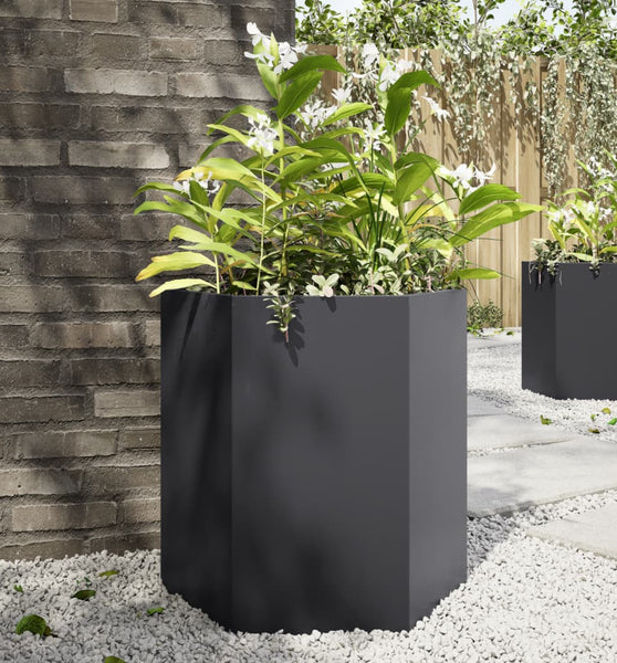 Garten-Pflanzgefäße 2 Stück Schwarz Sechseckig 46x40x45 Stahl
