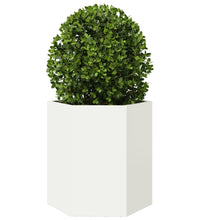 Garten-Pflanzgefäße 2 Stück Weiß Sechseckig 46x40x45 Stahl