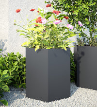 Garten-Pflanzgefäße 2 Stück Anthrazit Sechseckig 46x40x45 Stahl