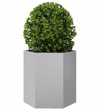 Garten-Pflanzgefäße 2Stk.Sechseckig 46x40x45cm Verzinkter Stahl