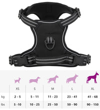 Hundegeschirr Reflektierend Verstellbar Schwarz XL