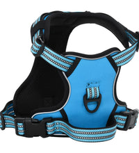 Hundegeschirr mit Leine & Halsband Verstellbar Blau S