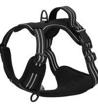 Hundegeschirr mit Leine & Halsband Verstellbar Schwarz M
