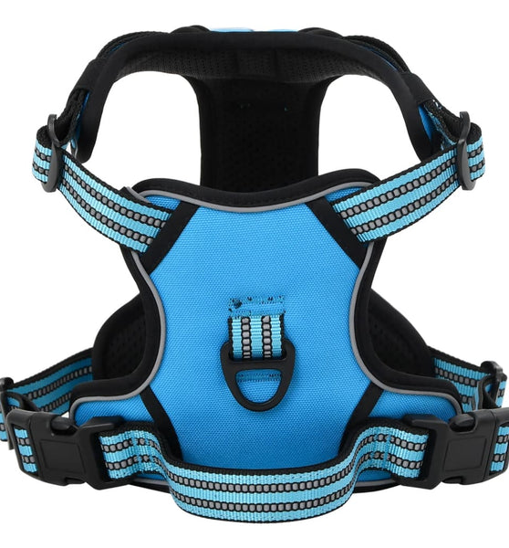 Hundegeschirr mit Leine & Halsband Verstellbar Blau L