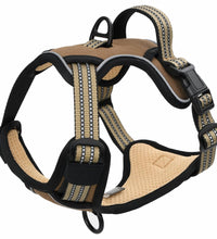 Hundegeschirr mit Leine & Halsband Verstellbar Braun L