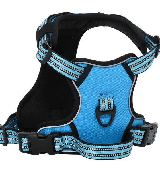 Hundegeschirr mit Leine & Halsband Verstellbar Blau XL
