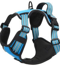 Hundegeschirr mit Leine & Halsband Verstellbar Blau XL