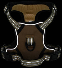 Hundegeschirr mit Leine & Halsband Verstellbar Braun XL