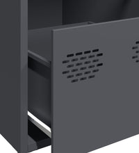 Sideboard Anthrazit 101,5x39x73,5 cm Kaltgewalzter Stahl