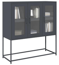 Sideboard Anthrazit 100,5x39x107 cm Kaltgewalzter Stahl