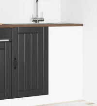 Spülenunterschrank Lucca Schwarz Holzwerkstoff