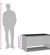 Outdoor-Kissenbox Braun 100x55x55,5 cm Poly Rattan