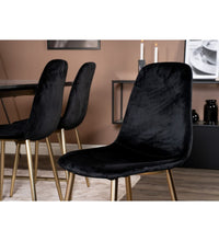 Esszimmerstühle 2 Stk. Polar Samt Schwarz und Messing