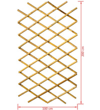 Nature Garten-Rankgitter 100x200 cm Bambus 6040722