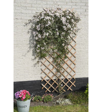 Nature Garten-Rankgitter 50x150 cm Holz Natur