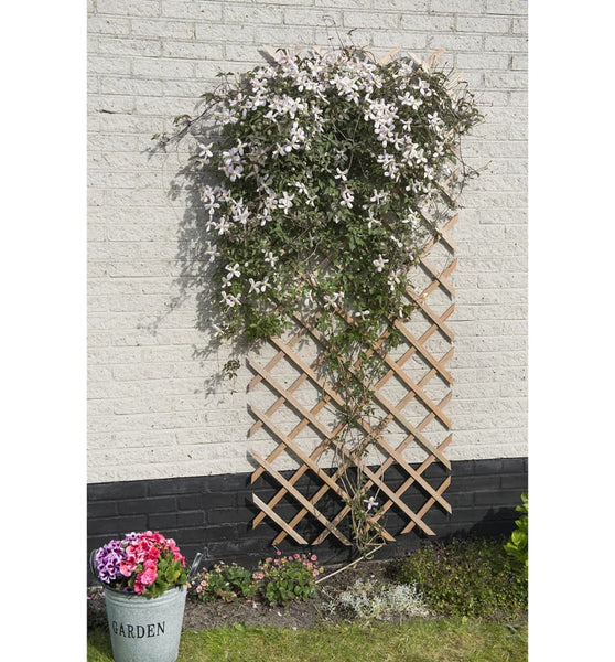 Nature Garten-Rankgitter 50x150 cm Holz Natur