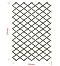 Nature Garten-Rankgitter 100x200 cm Holz Grün 6041704