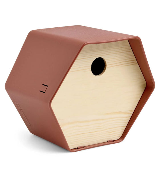 Vogelhäuschen Hive 1 19x23x20 cm Rundes Loch Braun