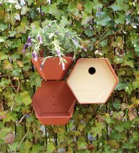 Vogelhäuschen Hive 1 19x23x20 cm Rundes Loch Braun