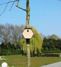 Vogelhäuschen Hive 1 19x23x20 cm Rundes Loch Braun