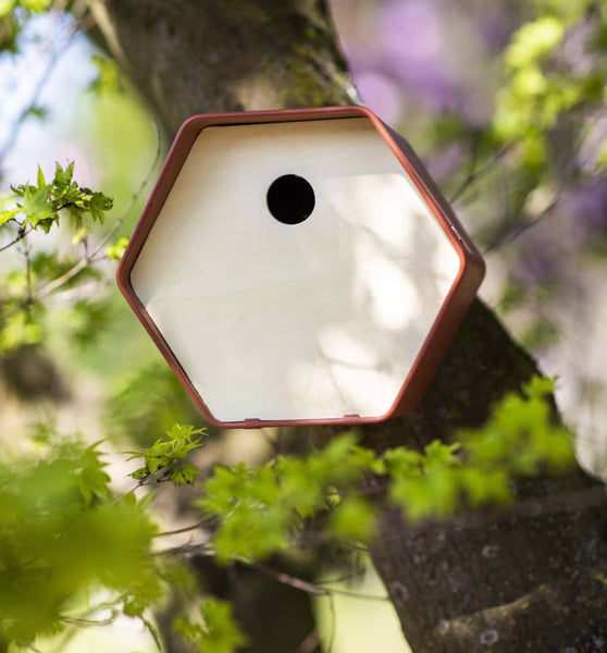 Vogelhäuschen Hive 1 19x23x20 cm Rundes Loch Braun