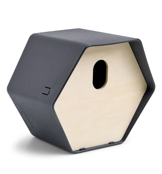 Vogelhäuschen Hive 2 19x23x20 cm Ovales Loch Anthrazit